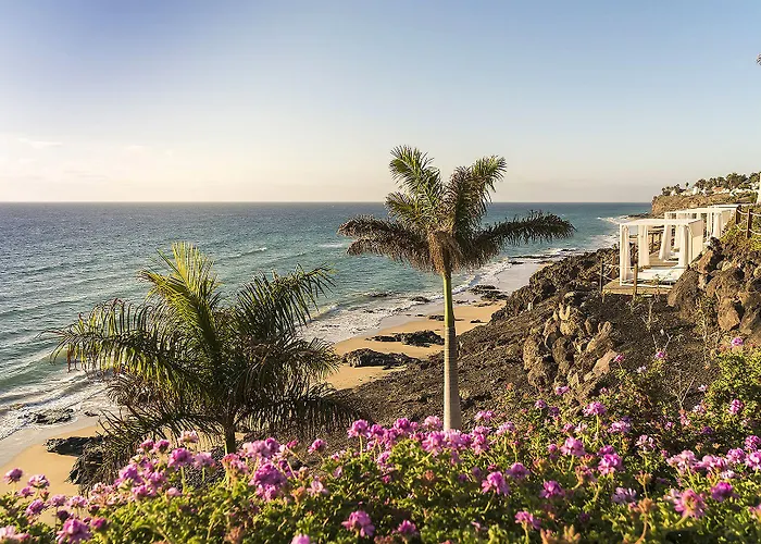 Курортный комплекс Royal Palm & - Adults Only